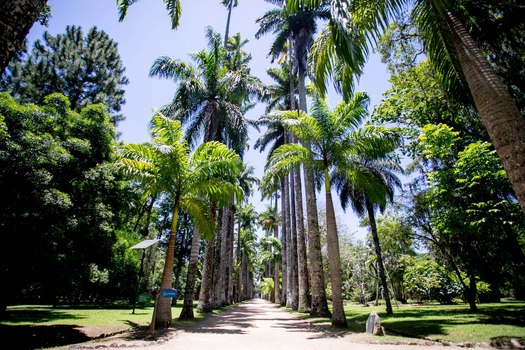 O Jardim Botânico é um patrimônio histórico do Rio de Janeiro